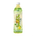 *康师傅茉莉柚茶500ml