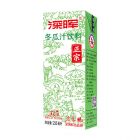 *深晖苗条冬瓜汁250ml